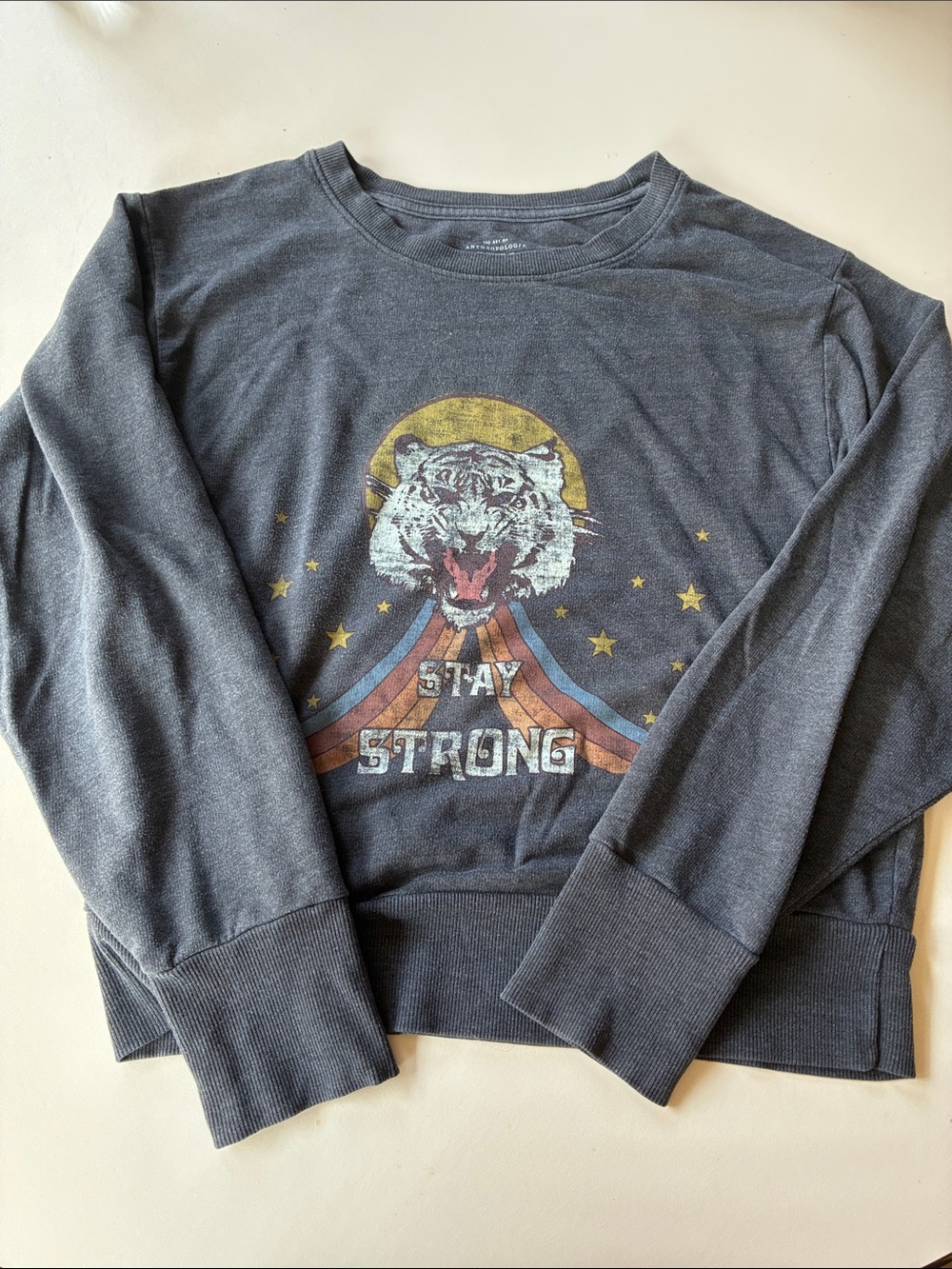 Anthropologie Charcoal Crewneck Sweatshirt with Tiger Graphic - Gold, Red, Blue
